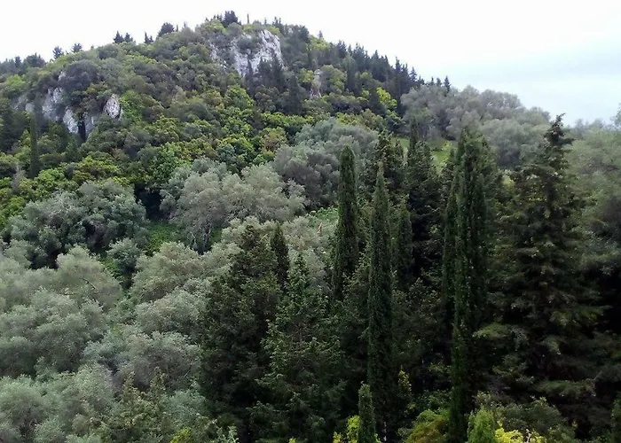 Kostas Walkers Point Dafnáta
