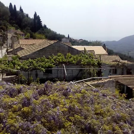 Kostas Walkers Point * Dafnata