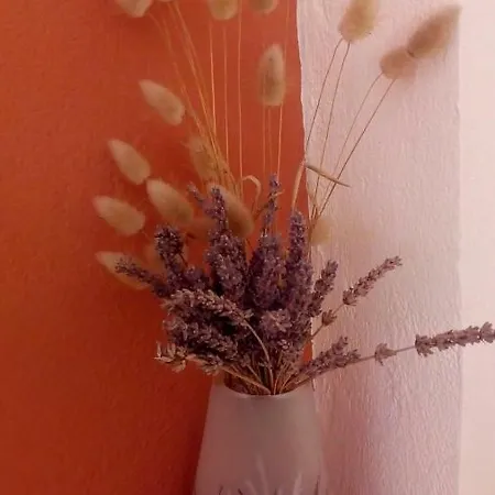 Kostas Walkers Point ベッド・アンド・ブレックファスト